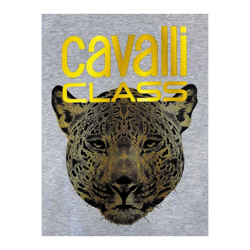 Cavalli Class Dressipluusid