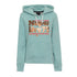 Superdry Dressipluusid